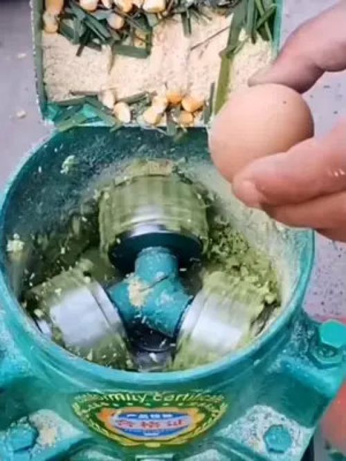 節(jié)約成本 水產養(yǎng)殖 養(yǎng)殖小妙招 家禽養(yǎng)殖 科學喂養(yǎng)