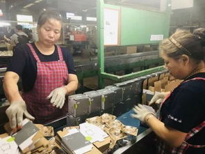 拼多多半年孵化五千萬訂單,電商對工廠的執念