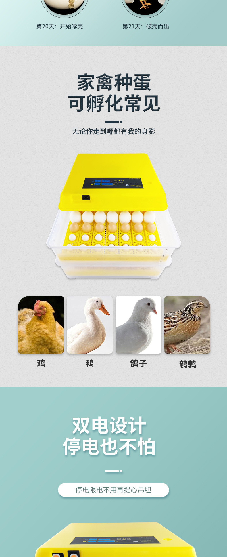 全自動孵化器智能家用孵化機水床孵化箱雞鴨鵝鴿子鳥卵蛋器孵蛋器
