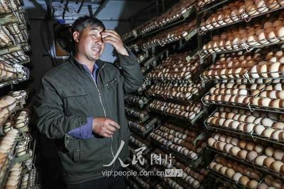 江蘇盱眙:農民自建孵化室 每年孵化10萬只家禽苗