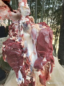 岳西人看過來,這才是正宗本地鄉下原生態黃牛肉 黑毛豬 在這里買...