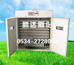 【雞鴨鵝孵化設備】_雞鴨鵝孵化設備價格_雞鴨鵝孵化設備批發_雞鴨鵝孵化設備供應商-搜了網雞鴨鵝孵化設備產品搜索