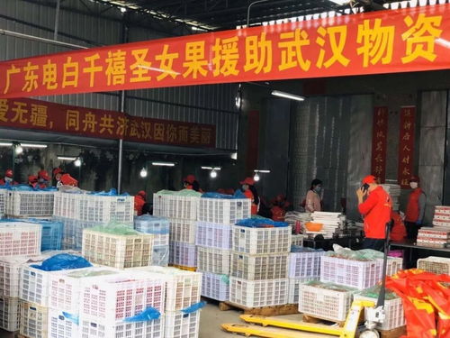 疫情面前有大愛,廣東農企在行動 家禽 水產品 蔬菜 陳皮 奶產品等馳援湖北