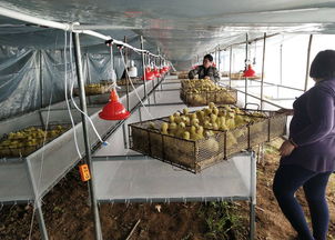 農業(yè) 商情資訊 全國各地行業(yè)資訊