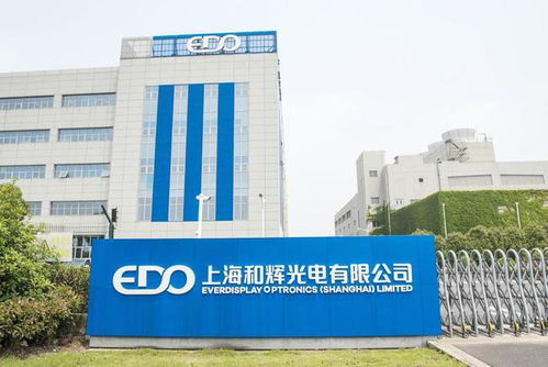 和輝光電登陸科創板，股價飆升近60%，市值一度突破670億